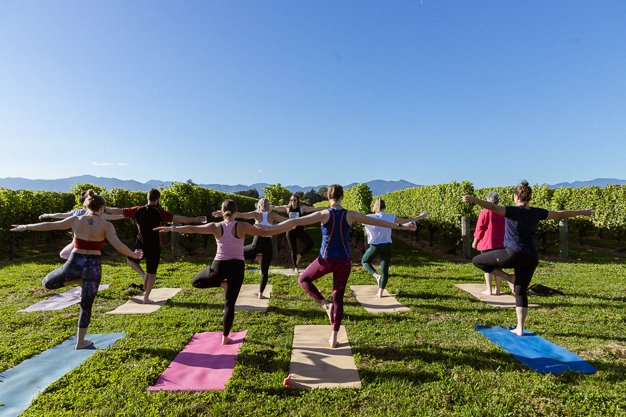 Yoga in the Vines-208